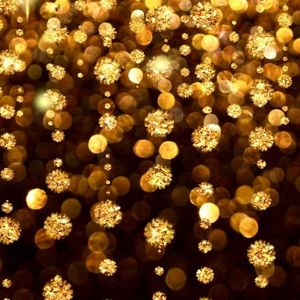 Meet your Posher, Annie